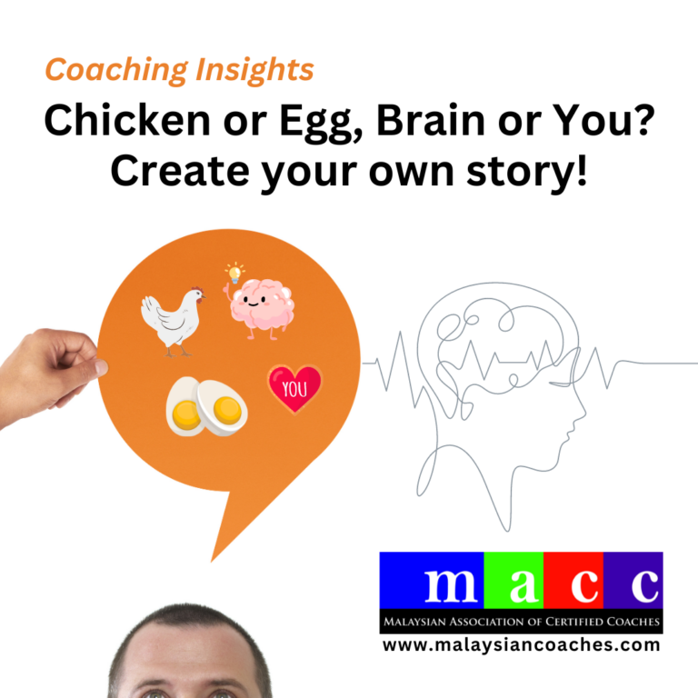 Chicken or Egg, Brain or You? Create your own story!